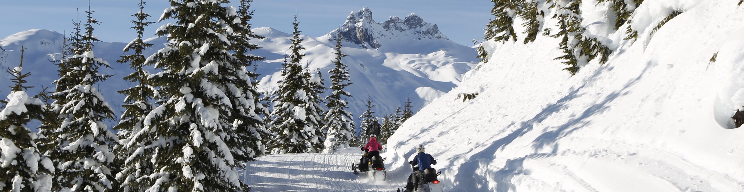 snowmobile whistler tour